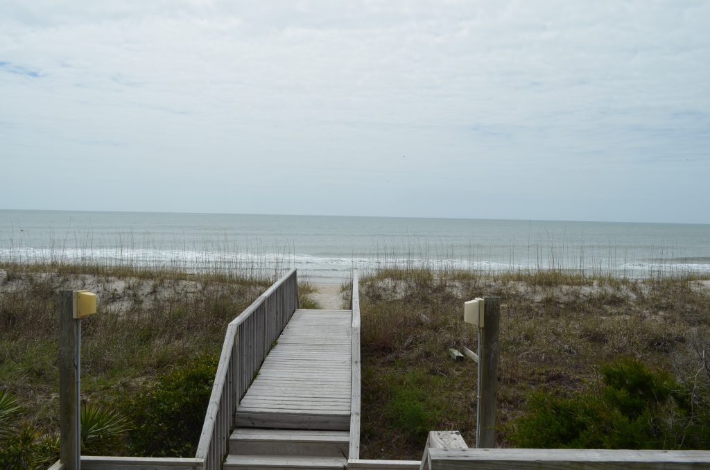 Cape Lookout Day Trip from Emerald Isle