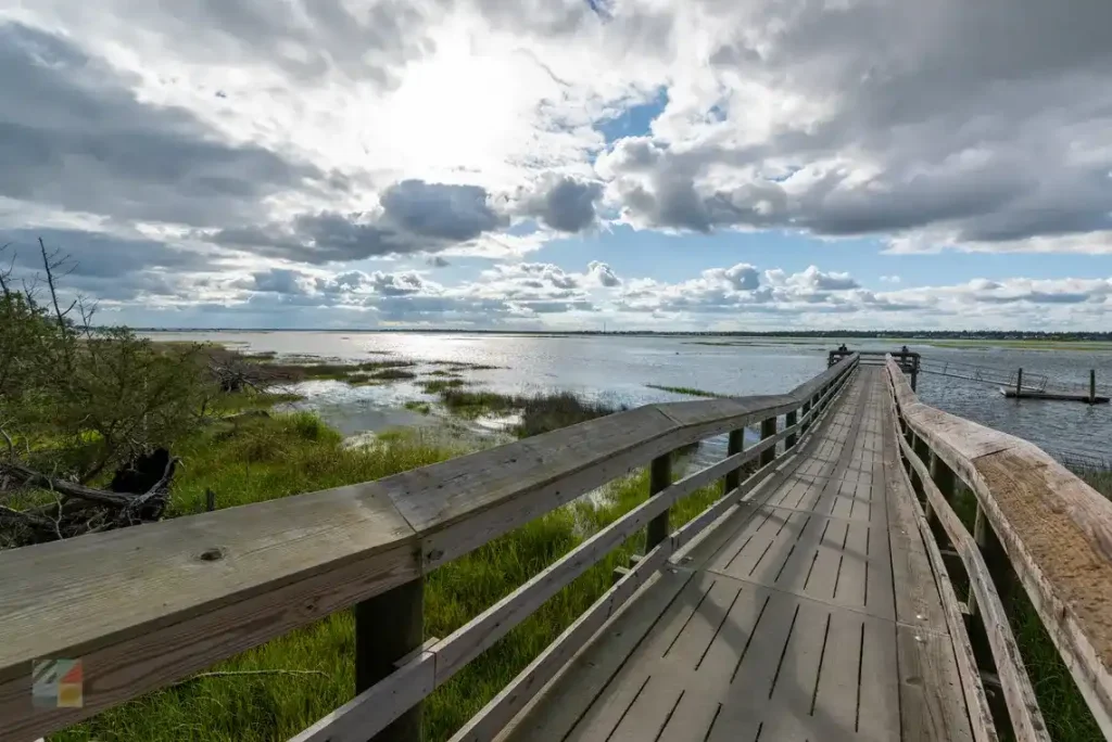 Emerald Isle Woods Park